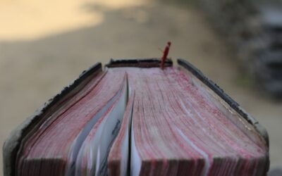 A Leitura da Bíblia: uma porta aberta para a renovação da vida