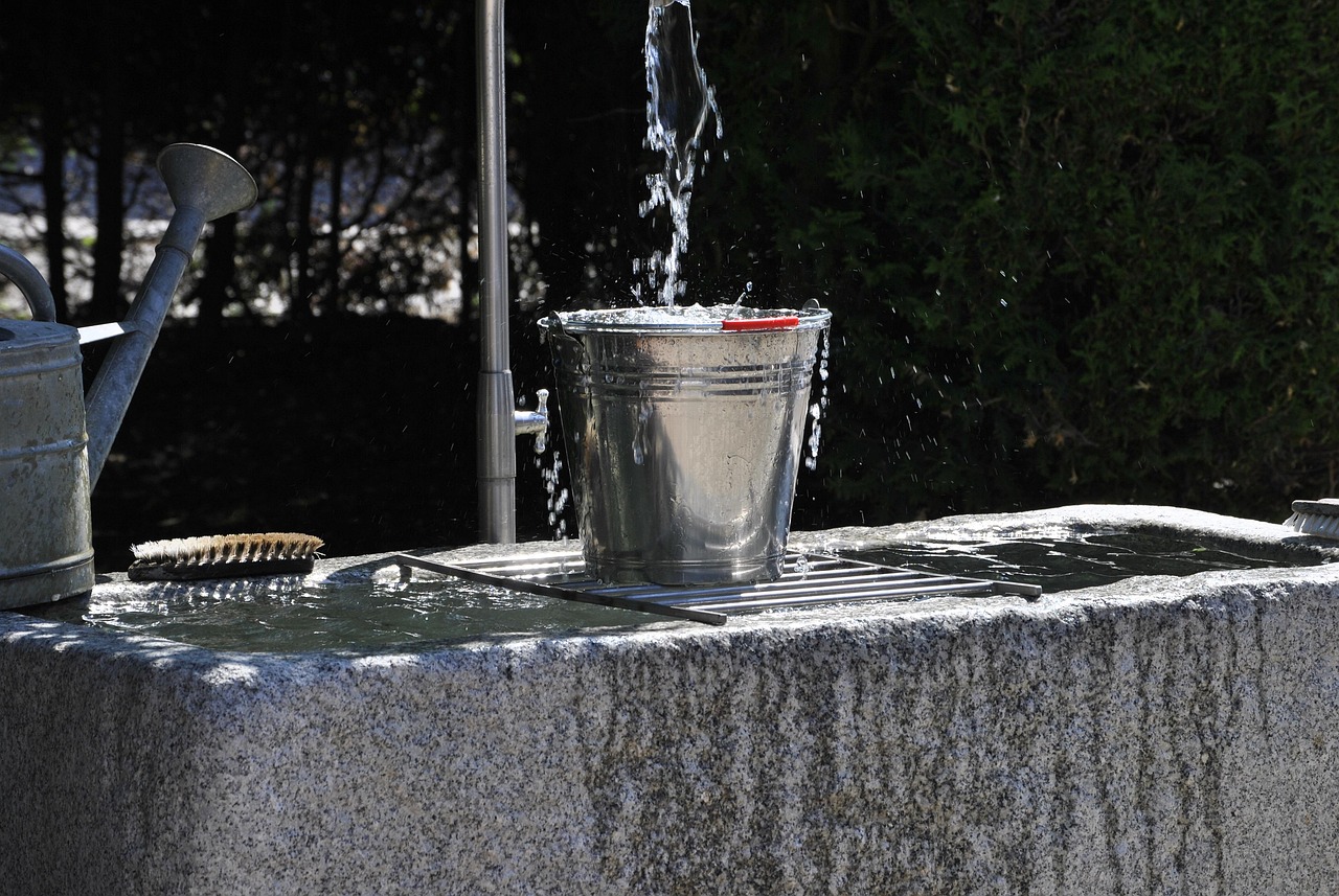 dominikfuchs-water-3418649_1280